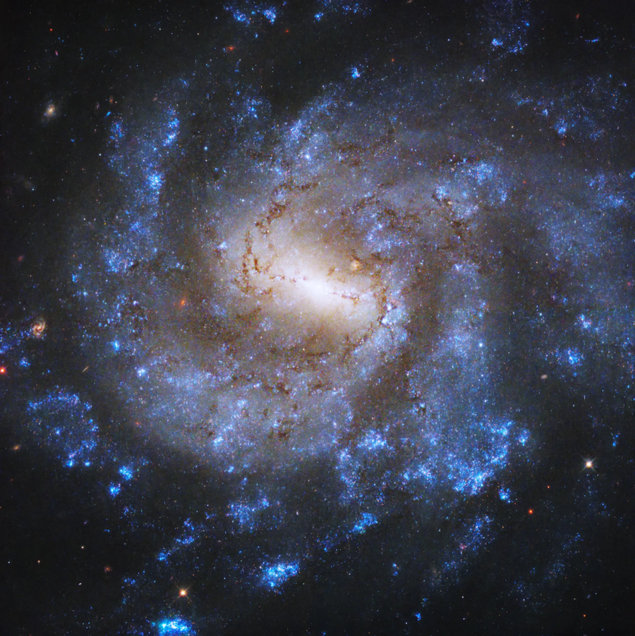 ngc 685